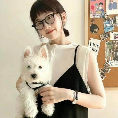 糊涂拍档